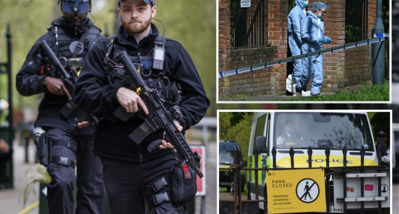 London synagogue targeted in suspected arson attack: report