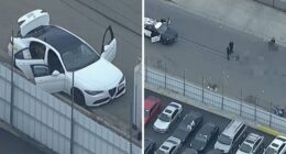 Los Angeles, California shooting: Bomb squad called after traffic stop in Sun Valley, police fatally shoot dog