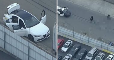 Los Angeles, California shooting: Bomb squad called after traffic stop in Sun Valley, police fatally shoot dog