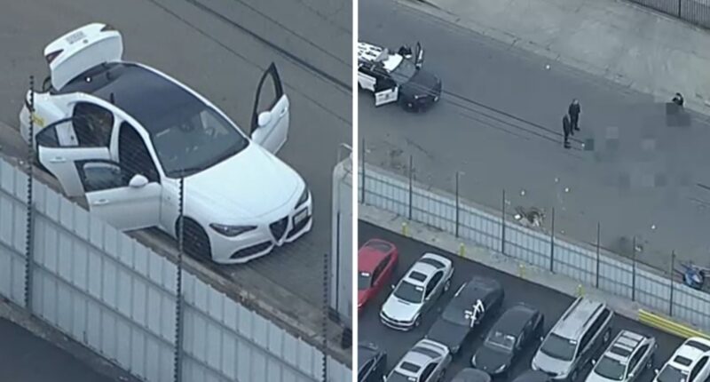 Los Angeles, California shooting: Bomb squad called after traffic stop in Sun Valley, police fatally shoot dog