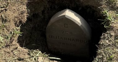 Lost grave of 'home for the incurables' orphans found after 100 years