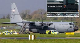 Lunatic attacks US war plane at Shannon Airport in Ireland: reports