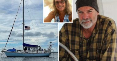 Lynette Hooker's husband released from police custody