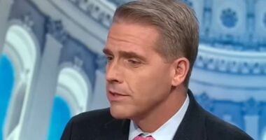 MAGA commentator snaps live on CNN over White House ballroom: 'Are you really that mad?'