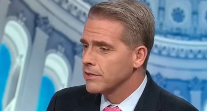 MAGA commentator snaps live on CNN over White House ballroom: 'Are you really that mad?'