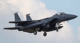 MATTHEW GOULD: The fate that awaits any pilot caught by the Iranians