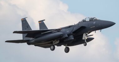 MATTHEW GOULD: The fate that awaits any pilot caught by the Iranians