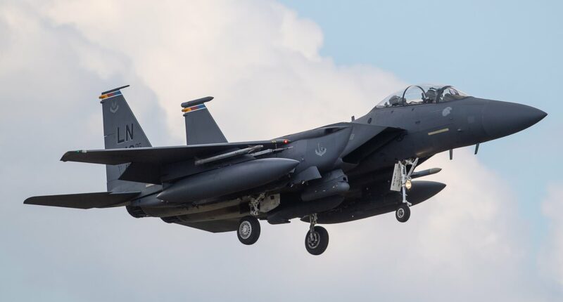 MATTHEW GOULD: The fate that awaits any pilot caught by the Iranians