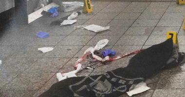 Machete-wielding man shouted he's 'Lucifer' shot dead by cops in NYC