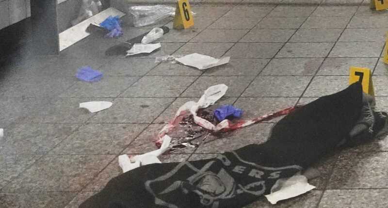 Machete-wielding man shouted he's 'Lucifer' shot dead by cops in NYC