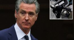 Major oil group drops truth bomb on Gavin Newsom over gas price claims