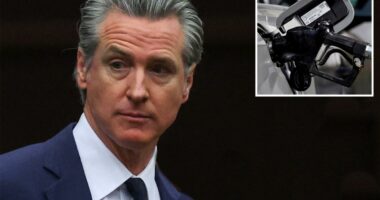 Major oil group drops truth bomb on Gavin Newsom over gas price claims