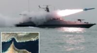 Majority of Iran's fast attacks ships patrollingÂ Strait of Hormuz still in tact: report