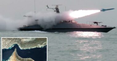 Majority of Iran's fast attacks ships patrollingÂ Strait of Hormuz still in tact: report