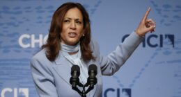 Majority of voters think Kamala Harris is responsible for the border crisis, higher levels of inflation, and Afghanistan exit