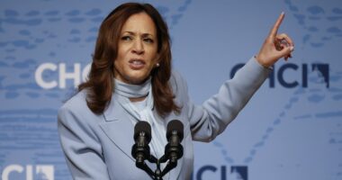 Majority of voters think Kamala Harris is responsible for the border crisis, higher levels of inflation, and Afghanistan exit