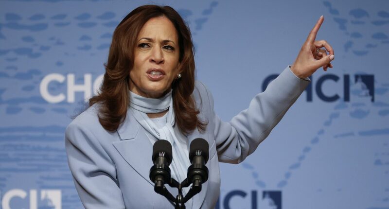 Majority of voters think Kamala Harris is responsible for the border crisis, higher levels of inflation, and Afghanistan exit