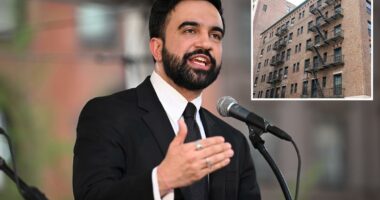 Mamdani plans to use taxpayer dough to cut down some NYC landlords' insurance costs