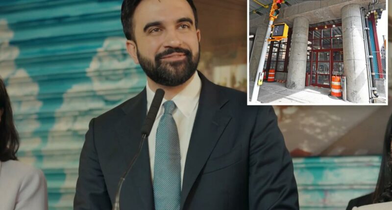 Mamdani releases propaganda video promoting Soviet-style city-run grocery stores