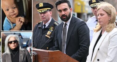 Mamdani under fire for blaming guns - not criminals