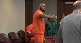 Man accused of double murder yells 'I want my mom' in court