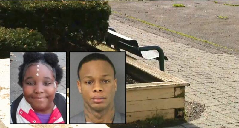 Man admits to killing 9-year-old over 'stupid' Facebook beef