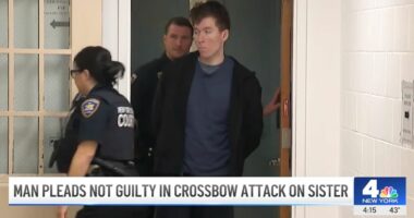 Man 'came within inches' of killing his sister with a crossbow after ongoing beef about the thermostat: DA