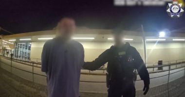 Man charged after allegedly biting, kicking flight attendant and passenger on Aussie flight