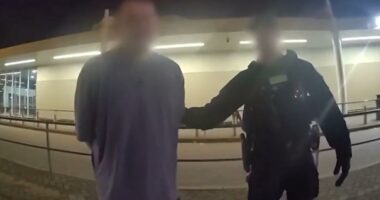 Man charged after allegedly kicking at airline staff, biting passenger on Australian-bound flight