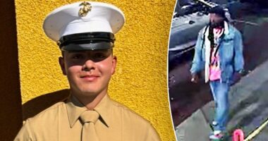 Man charged in fatal stabbing of US Marine in North Carolina had criminal record spanning three decades