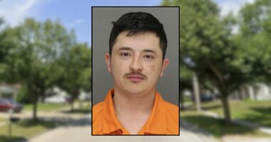 Man did not say a word while stabbing ex with machete: Cops