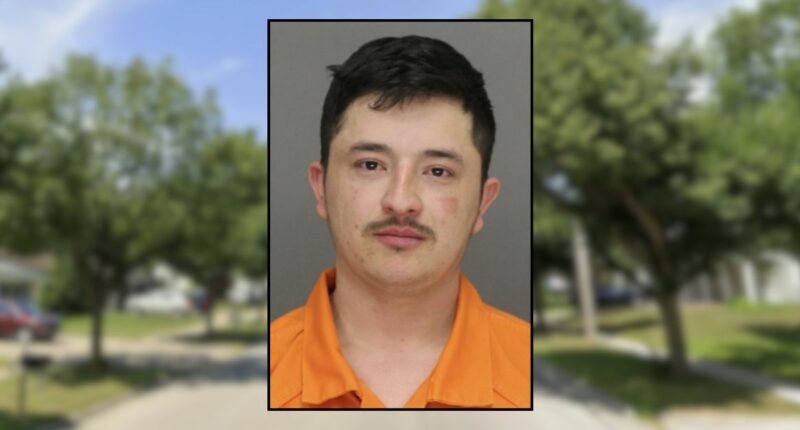 Man did not say a word while stabbing ex with machete: Cops