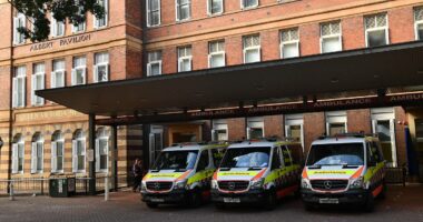 Man fighting for life after alleged hammer attack in Sydney hospital