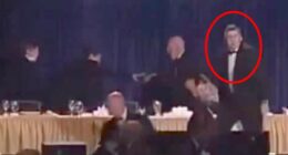 Man hailed as hero for jumping in front of Trump when shots were fired