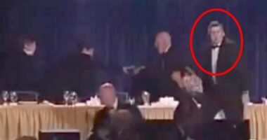 Man hailed as hero for jumping in front of Trump when shots were fired