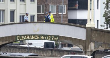 Man jailed for mimicking 'gut-wrenching' Bondi shooting