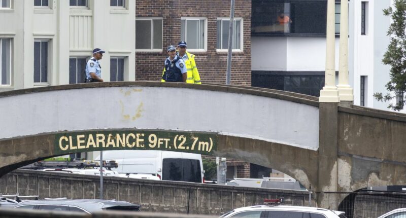 Man jailed for mimicking 'gut-wrenching' Bondi shooting