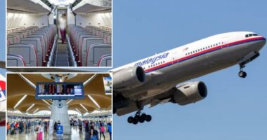 Man kicked off Malaysia Airlines flight for allegedly groping flight attendant