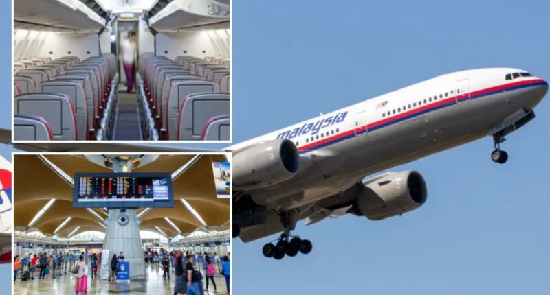 Man kicked off Malaysia Airlines flight for allegedly groping flight attendant