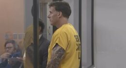 Man 'only dated girlfriend because he wanted her 13-year-old daughter'