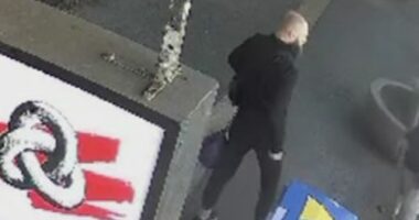 Man sentenced to 11 years in prison over unprovoked stabbing spree