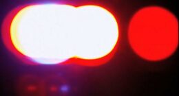 Man shot, killed in parking lot of Brunswick restaurant, police say