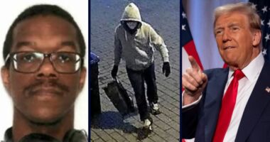 Man thinks Trump should pardon him after planting pipe bombs near Capitol a day before Jan. 6, argument is devoid of common sense: DOJ