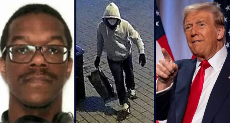 Man thinks Trump should pardon him after planting pipe bombs near Capitol a day before Jan. 6, argument is devoid of common sense: DOJ