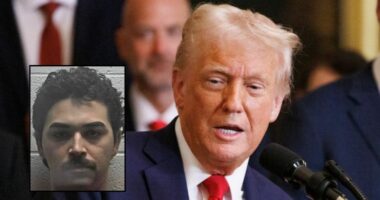 Man threatened to kill and feed Trump to ‘stray dogs': DOJ