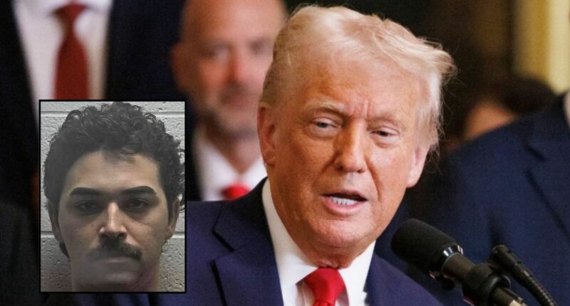Man threatened to kill and feed Trump to ‘stray dogs': DOJ