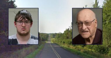 Man who killed 87-year-old grandpa learns his fate