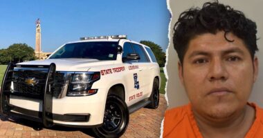 Man who pleaded guilty to raping 12-year-old relative is illegal immigrant from Honduras, DHS says