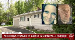 Man who reported mother missing suspected of murder: Docs