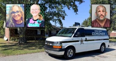 Man who stabbed mom and her daughter to death pleads guilty